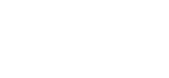INE