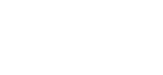 Pega