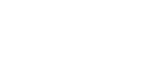 SAFE Security