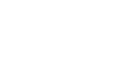 Stellar Cyber